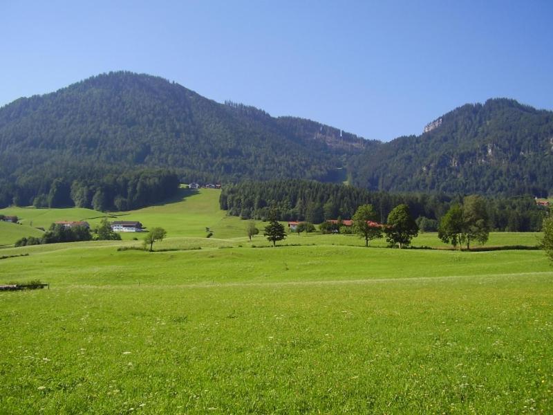 Ferienwohnungen Hollweger Inkl. Chiemgaukarte 루폴딩 외부 사진